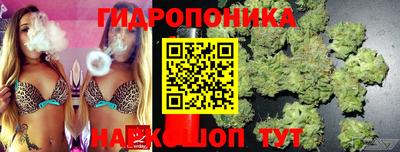 винт Обь